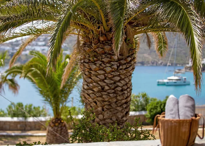 Only Yours , Mykonos アパート パラガ